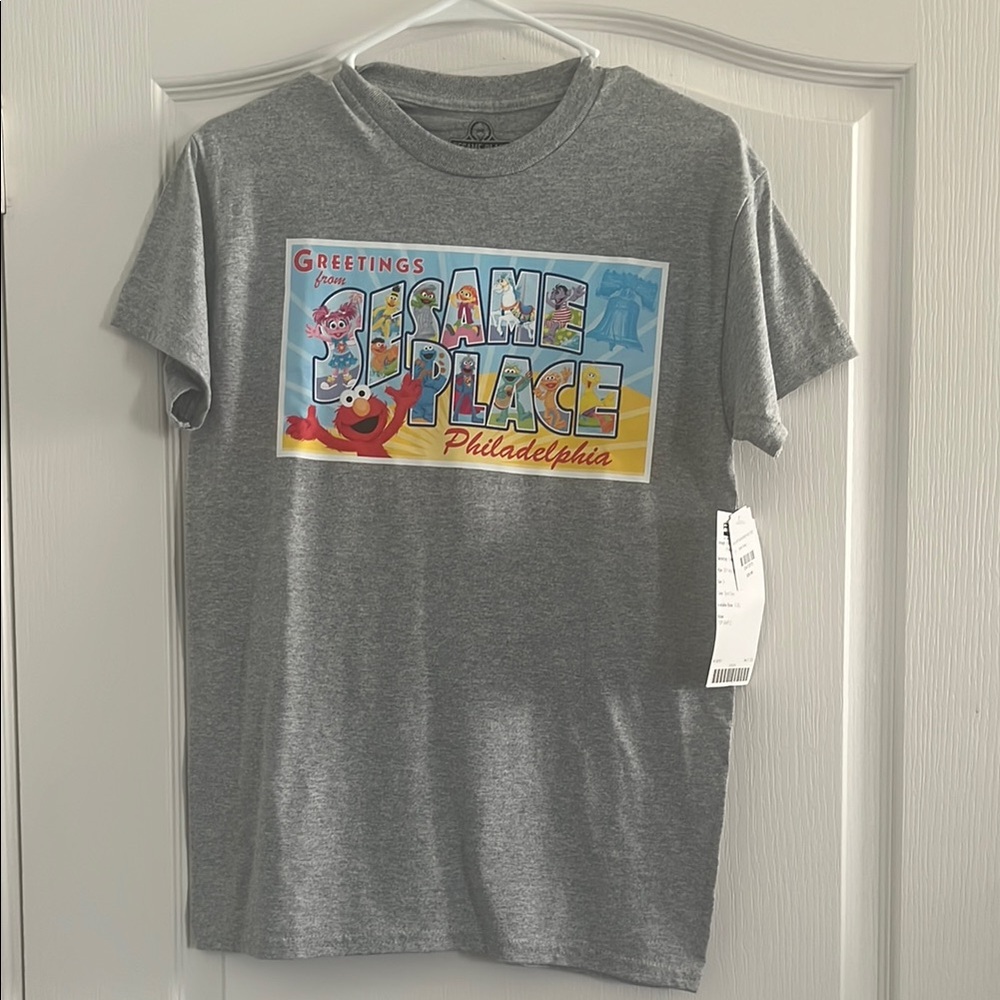 Gray Adult T-Shirt with Fun Graphic